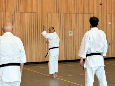 Karate Seminar 2023 in Deutschland_9